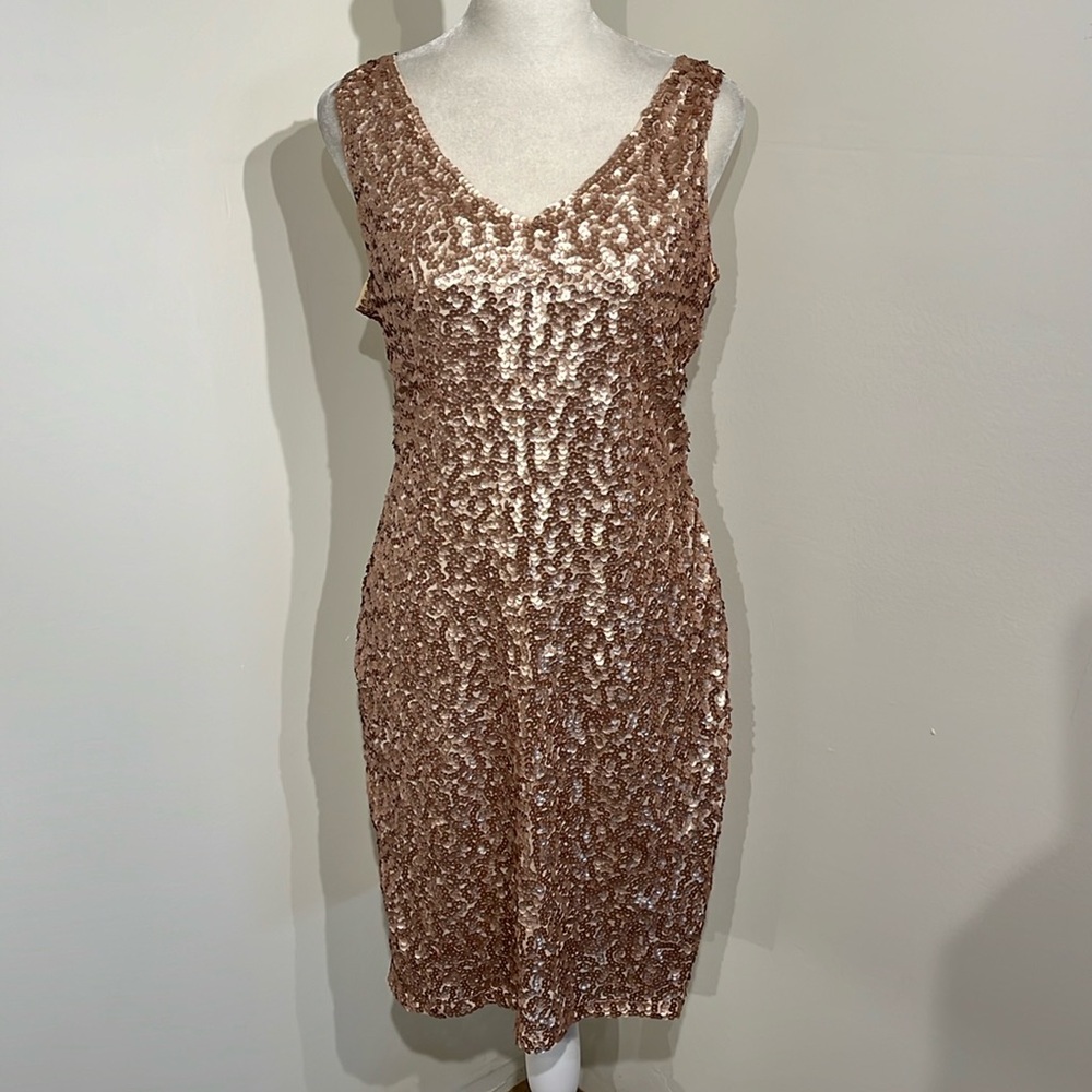 Pretty Guide Sequin Dress